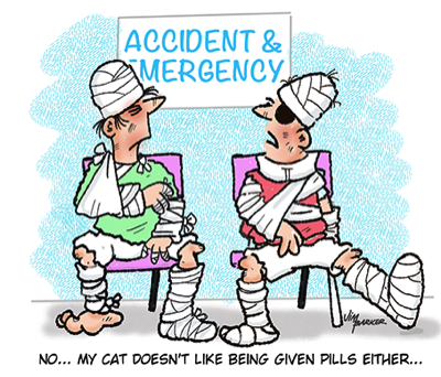 cat accident and emergency cartoon by Jim Barker cartoon illustration
