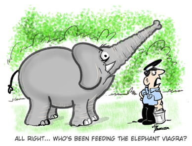 Elephant viagra cartoon by Jim Barker Cartoon Illustration